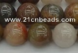 CFJ204 15.5 inches 12mm round fancy jasper beads wholesale