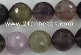 CFL407 15.5 inches 16mm faceted round rainbow fluorite beads