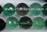 CFL66 15.5 inches 16mm faceted round A grade natural fluorite beads