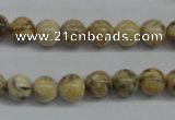 CFS02 15.5 inches 10mm round natural feldspar gemstone beads