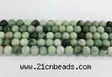 CGA726 15.5 inches 10mm round hydrogrossular gemstone beads