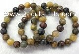 CGB2601 7.5 inches 10mm round natural pietersit beaded bracelets