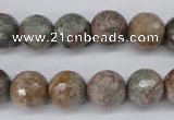 CGG15 15.5 inches 12mm faceted round ghost gemstone beads wholesale