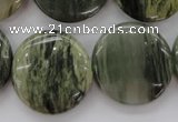 CGH23 15.5 inches 25mm flat round green hair stone beads wholesale