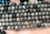 CGJ511 15.5 inches 6mm round green forst jasper beads wholesale