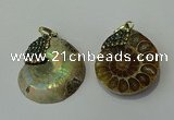 CGP271 25*30mm - 30*35mm ammonite pendants wholesale