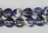 CHG11 15.5 inches 10*10mm heart sodalite gemstone beads wholesale