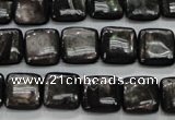 CHS81 15.5 inches 12*12mm square natural hypersthene beads