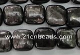 CHS82 15.5 inches 14*14mm square natural hypersthene beads