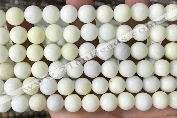 CIJ203 15.5 inches 10mm round ivory jade beads wholesale