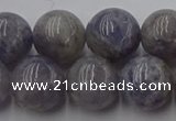 CIL103 15.5 inches 10mm round iolite gemstone beads wholesale