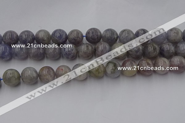 CIL103 15.5 inches 10mm round iolite gemstone beads wholesale