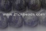 CIL104 15.5 inches 12mm round iolite gemstone beads wholesale