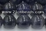 CIL128 15.5 inches 10mm round natural iolite beads wholesale