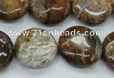 CJA26 15.5 inches 20mm flat round green jasper beads wholesale