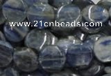 CKC02 16 inches 25mm flat round natural kyanite beads wholesale