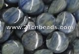 CKC03 16 inches 30mm flat round natural kyanite beads wholesale