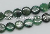 CKC107 16 inches 10mm flat round natural green kyanite beads wholesale