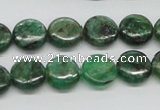 CKC108 16 inches 12mm flat round natural green kyanite beads wholesale