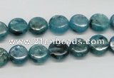 CKC21 16 inches 10mm flat round natural kyanite beads wholesale