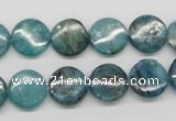 CKC22 16 inches 12mm flat round natural kyanite beads wholesale