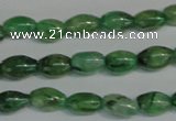 CKC70 15.5 inches 4*6mm rice natural green kyanite beads wholesale