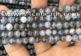 CKC751 15.5 inches 6mm round blue kyanite beads wholesale