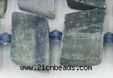 CKC785 15.5 inches 11*15mm - 12*18mm freeform blue kyanite beads