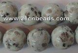 CKW06 15.5 inches 16mm round kiwi jasper gemstone beads