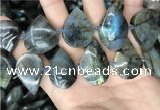 CLB1001 15.5 inches 18*30mm - 22*35mm flat teardrop labradorite beads