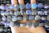 CLB1023 15.5 inches 12mm faceted coin labradorite gemstone beads