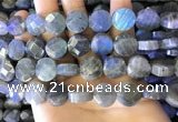 CLB1024 15.5 inches 14mm faceted coin labradorite gemstone beads