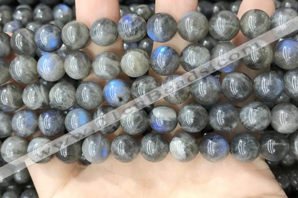 CLB1034 15.5 inches 10mm round labradorite beads wholesale