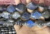 CLB1047 15.5 inches 18*22mm - 20*25mm faceted freeform labradorite beads