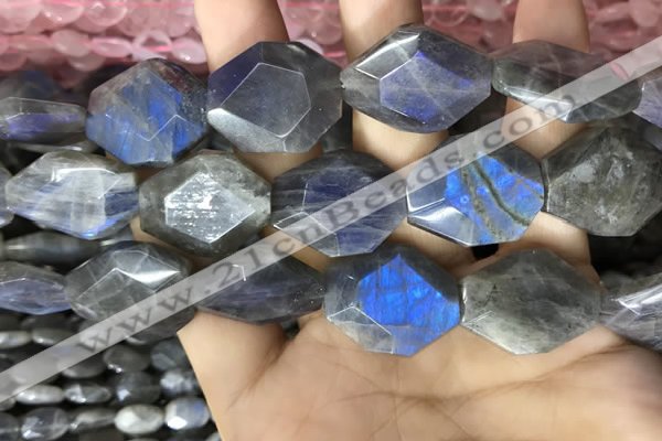 CLB1047 15.5 inches 18*22mm - 20*25mm faceted freeform labradorite beads