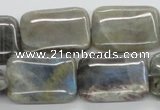 CLB124 15.5 inches 18*25mm rectangle labradorite gemstone beads wholesale