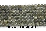 CLB1241 15 inches 6mm round labradorite beads wholesale