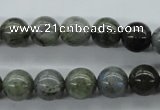 CLB129 15.5 inches 10mm round labradorite gemstone beads wholesale