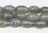 CLB150 15.5 inches 8*12mm rice labradorite gemstone beads