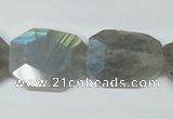 CLB206 15.5 inches 20*25mm faceted freeform labradorite beads