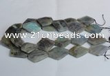 CLB215 15.5 inches 20*30mm - 30*40mm faceted freeform labradorite beads