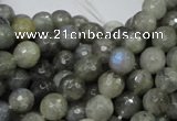 CLB22 15.5 inches 8mm faceted round labradorite gemstone beads