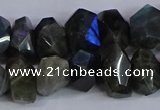 CLB232 15.5 inches 10*14mm - 13*18mm faceted nuggets labradorite beads