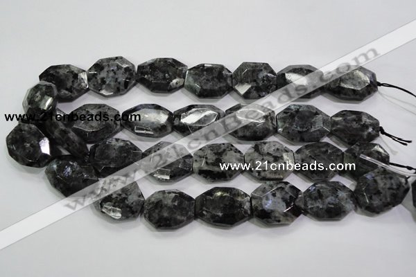 CLB325 15.5 inches 20*25mm octagonal black labradorite beads