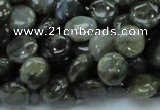 CLB38 15.5 inches 10mm flat round labradorite gemstone beads