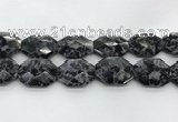 CLB380 24*32mm - 25*35mm faceted octagonal black labradorite beads