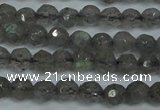 CLB510 15.5 inches 4mm faceted round labradorite gemstone beads