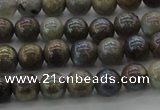 CLB602 15.5 inches 8mm round AB-color labradorite beads