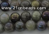 CLB603 15.5 inches 10mm round AB-color labradorite beads