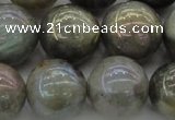 CLB608 15.5 inches 20mm round AB-color labradorite beads